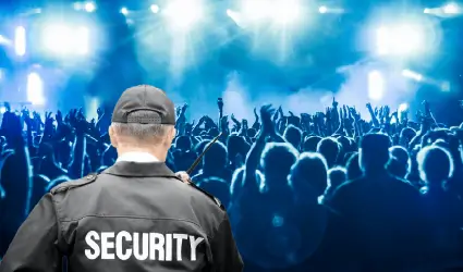 Crowd and Event Security