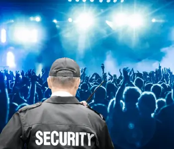 Crowd Security Services